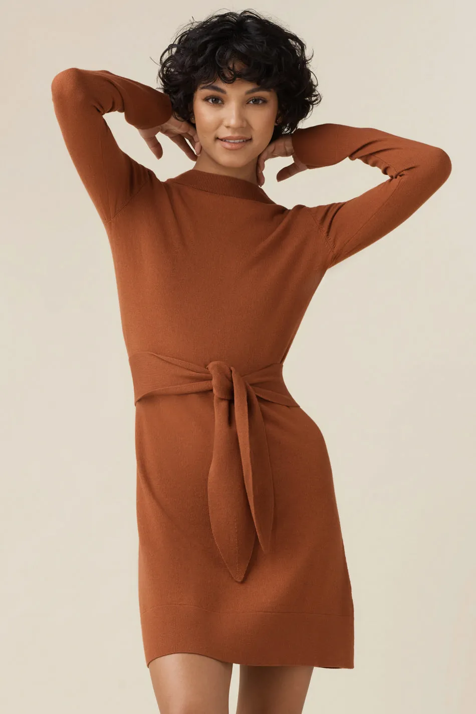 The Mockneck Sweater Dress