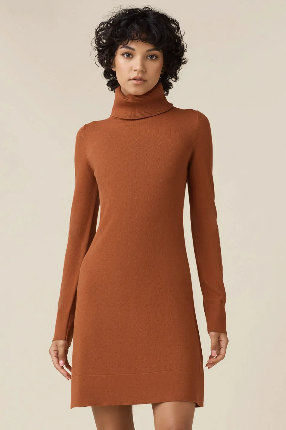 The Mockneck Sweater Dress